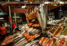 В Ростовской области приостановили создание рыбного рынка