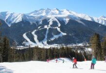 Из Таганрога с 15 декабря запустят автобусы в Архыз