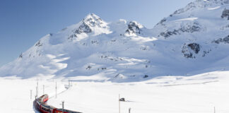 Из Ростова на Розу Хутор вновь запустят «Лыжную стрелу»