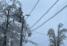 На Дону будут плавить гололед на энергообъектах Ледяной дождь на севере Ростовской области приводит к технарушениям на энергообъектах //Фото пресс-службы Россети-юг