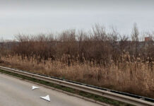 На Левобережной в Ростове могут построить культурно-досуговый кластер Участок на ул. Левобережной в Ростове-на-Дону //Фото ЯндексКарты