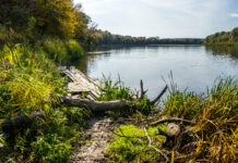 Оператор связи улучшил покрытие 4G вдоль водоемов в Ростовской области