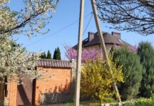 Климатолог Иошпа рассказал, когда на Дону потеплеет до +20