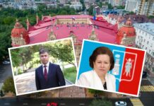 В Ростовской области хотят отказаться от поста главы администрации