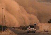 В Ростовской области ожидаются пыльные бури