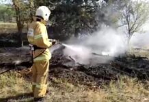 Движение на трассе А-270 в Ростовской области перекрыли из-за пожара