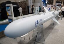 Минобороны: над Ростовской областью сбита противокорабельная ракета