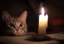 В Ростовской области снова отключают электроэнергию в Батайске нет света со вчерашнего вечера // фото:https://m.fotostrana.ru