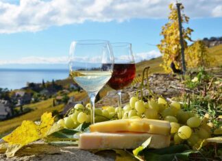 Сельский туризм в Ростовской области показал рост на 80% "Цимлянские вина" планируют построить винно-туристический кластер // фото: pamptur.ru