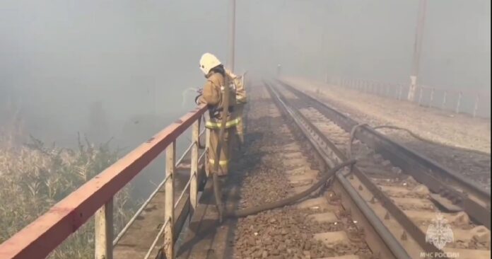 пожарные тушат камыш под Батайском // фото: скриншот видео пресс-службы МЧС по Ростовской области