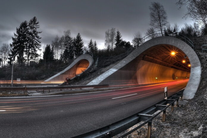 тоннель // фото: LOOKW.RU