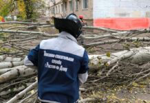 В Ростове из-за ураганного ветра больше всех пострадал Первомайский район 2 ноября в Ростове из-за сильного ветра упало 64 дерева // фото: телеграм-канал Алексей Логвиненко