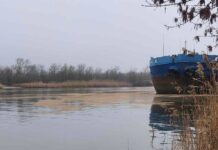 В реке Дон нашли еще одно маслянистое пятно масляное пятно в Аксае // фото: Минприроды Ростовской области