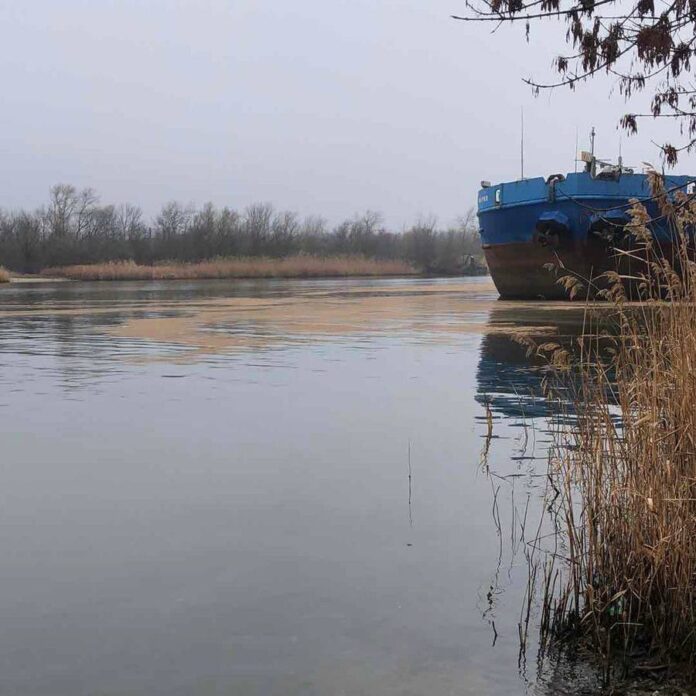масляное пятно в Аксае // фото: Минприроды Ростовской области