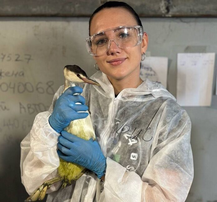 Кристина Черныш