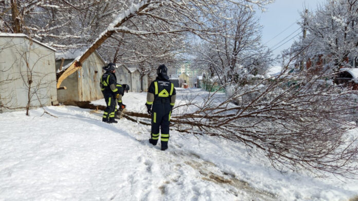 в Ростове из-за снегопада упало 201 дерево // фото: rostov-gorod.ru