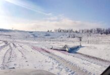 Ростовские дружинники нашли БПЛА в поле