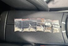 Ростовская транспортная полиция задержала наркосбытчиков // фото: УТ МВД России по СКФО