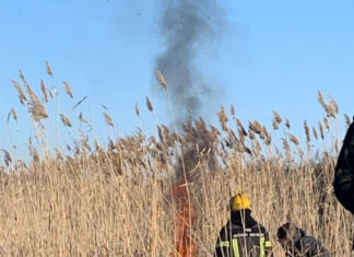 В Ростове проведут профилактические контролируемые выжигание сухой травы Выжигание сорной травы// фото: Администрация Ростова