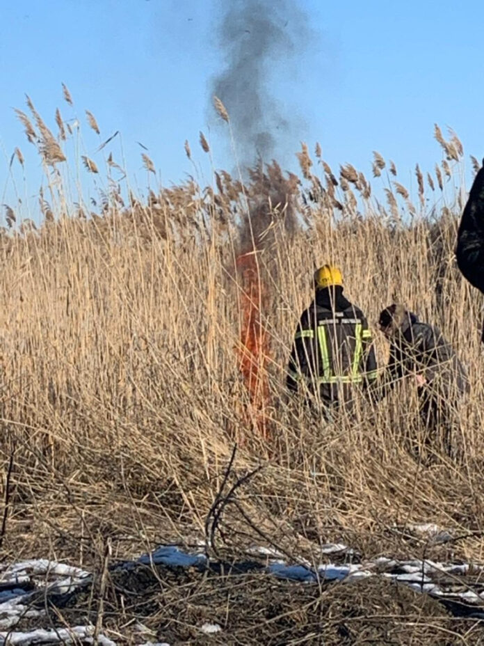 Выжигание сорной травы// фото: Администрация Ростова