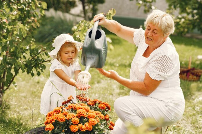 small-girl-with-senior-grandmother-gardening-backyard-garden-child-white-hat_1157-41638