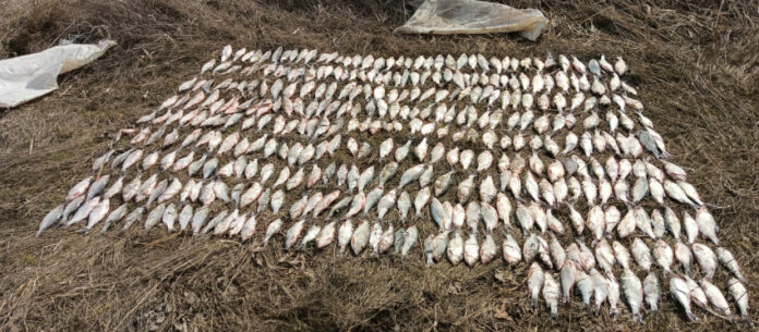 //фото: УФСБ России по Ростовской области