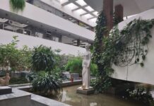 Исторический облик Донской библиотеки сохранят после капремонта Публичная библиотека внутри. Зимний сад // фото: Ольга Медведева