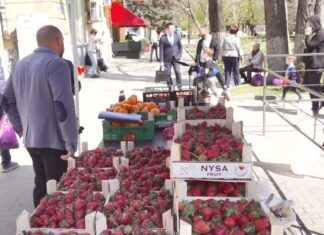 В Ростовской области в 2026 году продолжат борьбу с незаконной уличной торговлей точка незаконной торговли в Ростове // фото: donland.ru