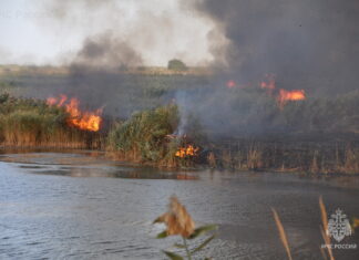 В трех районах Ростовской области объявили чрезвычайную пожароопасность пожар у реки // фото: пресс-служба МЧС по Ростовской области