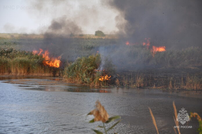 пожар у реки // фото: пресс-служба МЧС по Ростовской области