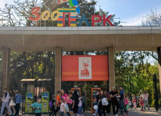 На содержание и ремонт ростовского зоопарка правительство потратит больше миллиарда рублей Ростовский зоопарк //Фото: Анастасия Чернявская