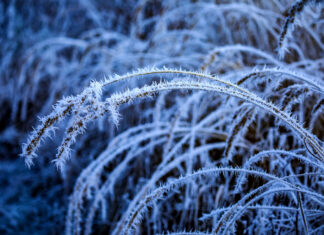 Под Ростовом шесть СНТ остались без света из-за аварии в мороз заморозки // фото: Изображение от wirestock на Freepik