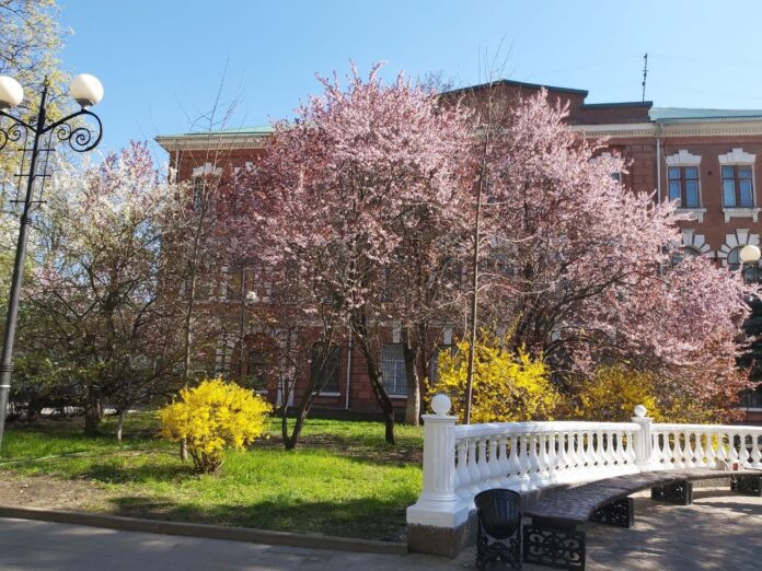 пешеходная улица Пушкинская в Ростове // фото: Ольга Медведева