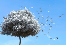 Ростовчане призвали отказаться от празднования Дня города деньги // фото: Изображение от user6702303 на Freepik