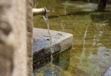 Участок на площади Ленина в Ростове сменил владельца: фонтан останется в планах фонтан // фото: Изображение от kues1 на Freepik