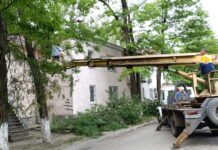 Штормовой ветер вызвал 54 происшествия в Ростове ликвидация последствий штормового ветра // фото: сайт Администрации Ростова-на-Дону