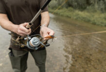 С 1 июня снимут нерестовый запрет на рыбалку в Ростовской области рыбалка // фото: Изображение от Freepik на Freepik