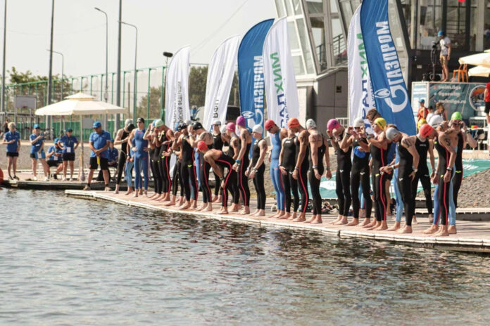 чемпионат по плаванию // фото: donland.ru