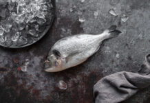 На Дону изъяли 9 тонн рыбы на 1,9 млн рублей незаконная рыба // фото: Изображение от freepik на Freepik