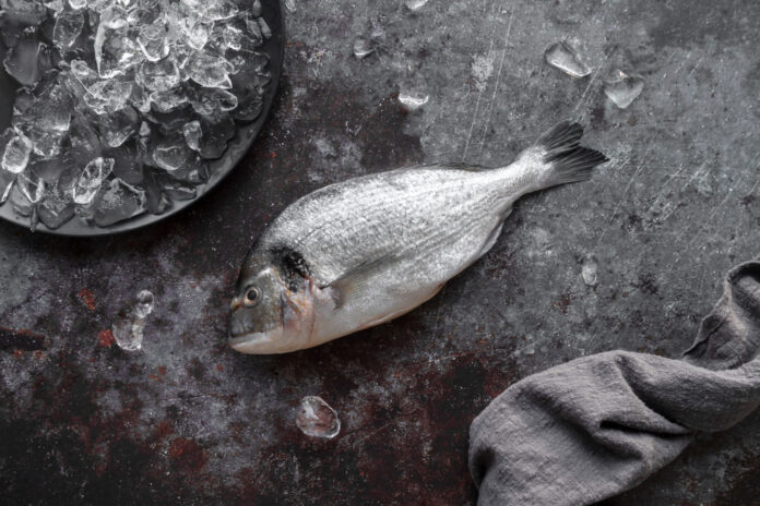 незаконная рыба // фото: Изображение от freepik на Freepik