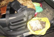 На Дону задержаны организаторы сети тайников с марихуаной задержаны организаторы системы тайников с марихуаной // фото: пресс-служба ГУ МВД Росси по Ростовской области