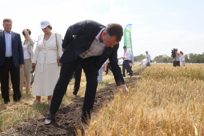 Юрий Слюсарь в поле // фото: donland.ru