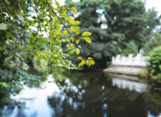 В Миллеровском районе проверили ограничение доступа к пруду на реке Жуковка пруд // фото: Изображение от awesomecontent на Freepik