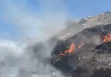 Два пожара зафиксированы в Аксайском районе пожар в Аксайском районе // фото: Скриншот видео в Telegram-канале Антонины Пшеничной