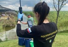 В Батайске очистили водоотводный канал только после вмешательства приставов в водоотводном канале Батайска обнаружили вредные вещества // фото: пресс-служба ГМУ ФССП России