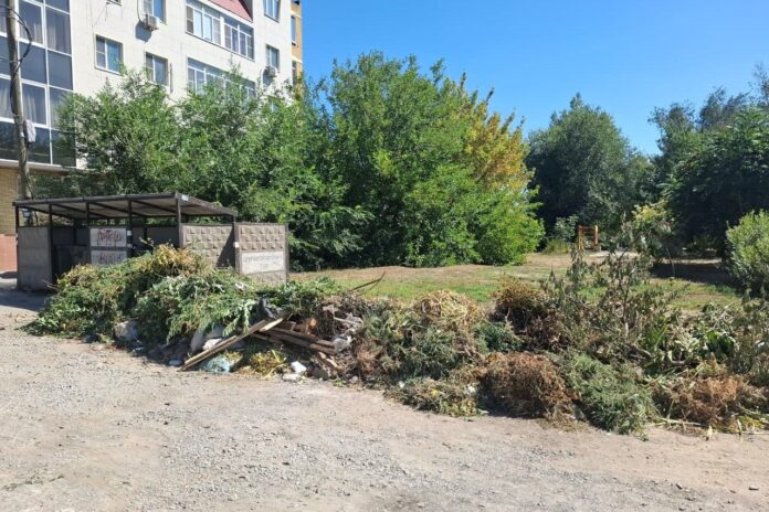 ветки нельзя будут выбрасывать в мусорные контейнеры // фото: donland.ru