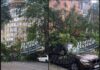 упавшее дерево на Закруткина // фото: скиншот из Tellegram-канала "Это Ростов"