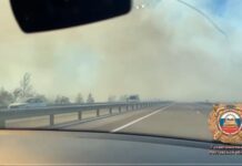 Участок трассы «Ростов-Азов» перекрыли из-за задымления от пожаров задымление на трассе Ростов - Азов // фото: Скриншот видео в Telegram-канале Госавтоинспекции Ростовской области