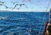 зачастую рыбу ловят на устаревших судах // фото: fish.gov.ru, regnum.ru