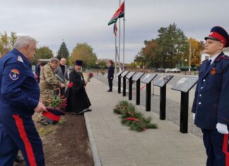 В Тарасовском районе появились комплекс «Парк памяти» и Аллея Славы мемориальные доски в "Парке памяти" Тарасовского района // фото: donland.ru